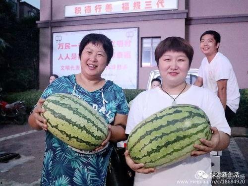 吃瓜汇总,吃瓜群众视角下的娱乐圈风云录